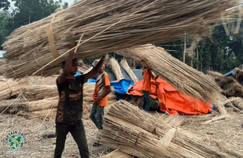 jute stick charcoal production process in Bangladesh